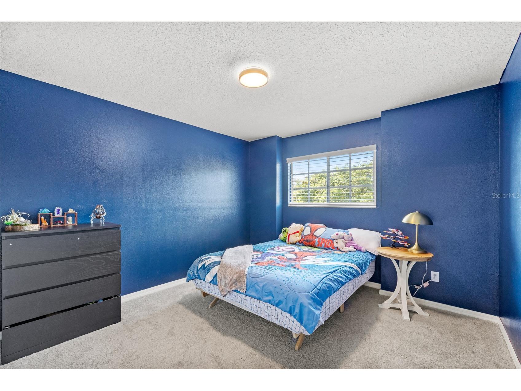 8637 Hastings Beach Boulevard Orlando FL 32829 - VISTA LAKE O6405716 image20