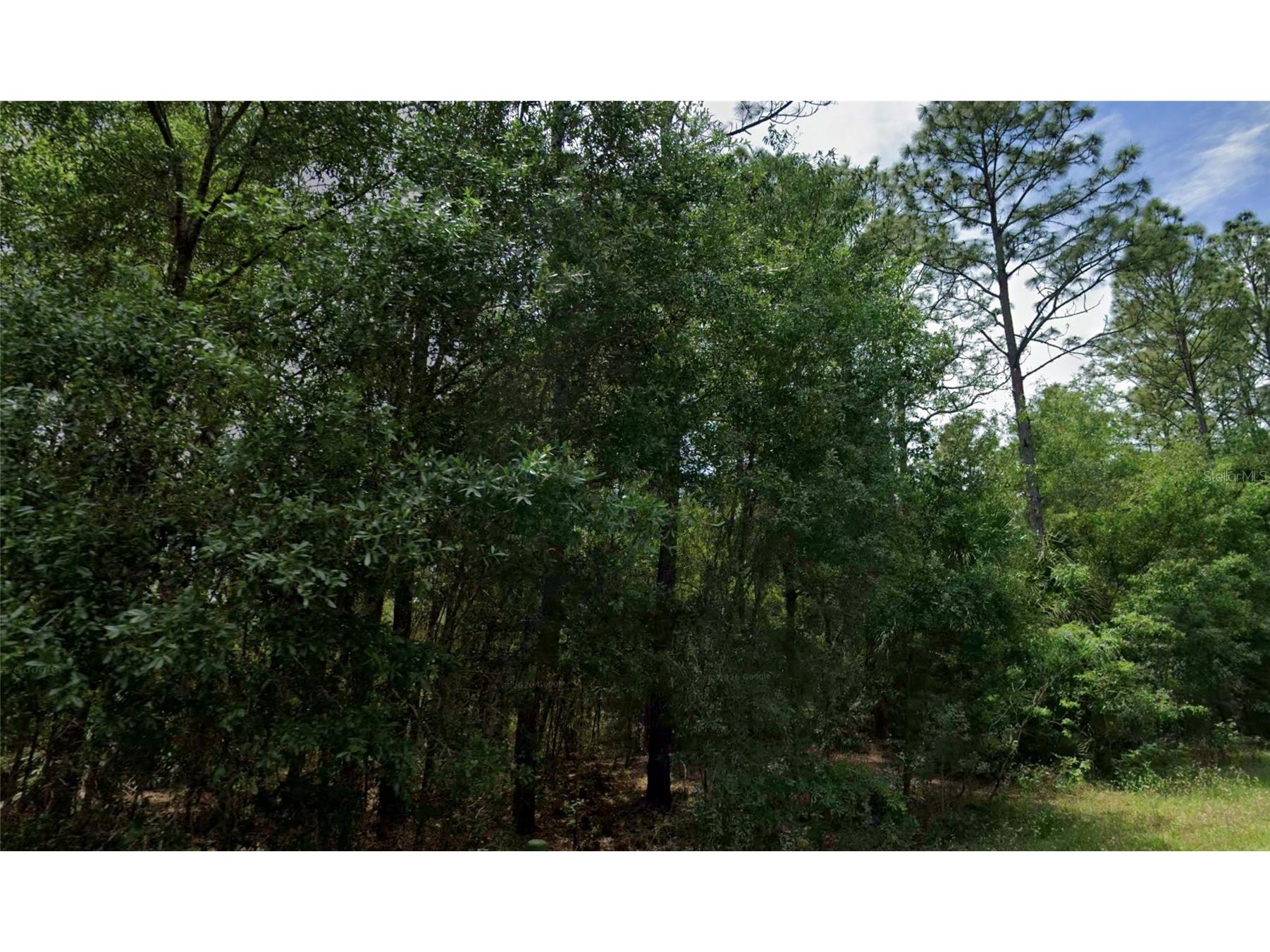 864 W Bannister Drive Citrus Springs FL 34434 OM725455 image2