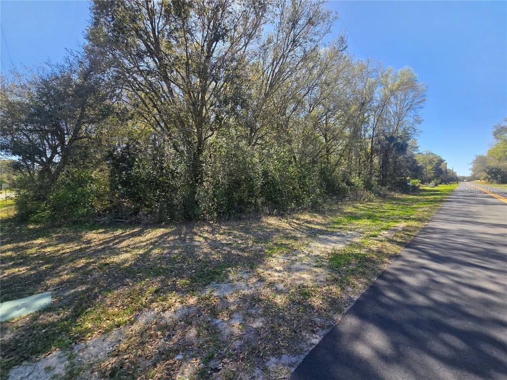 8640 W Basilico Street Crystal River FL 34428 OM697267 image1