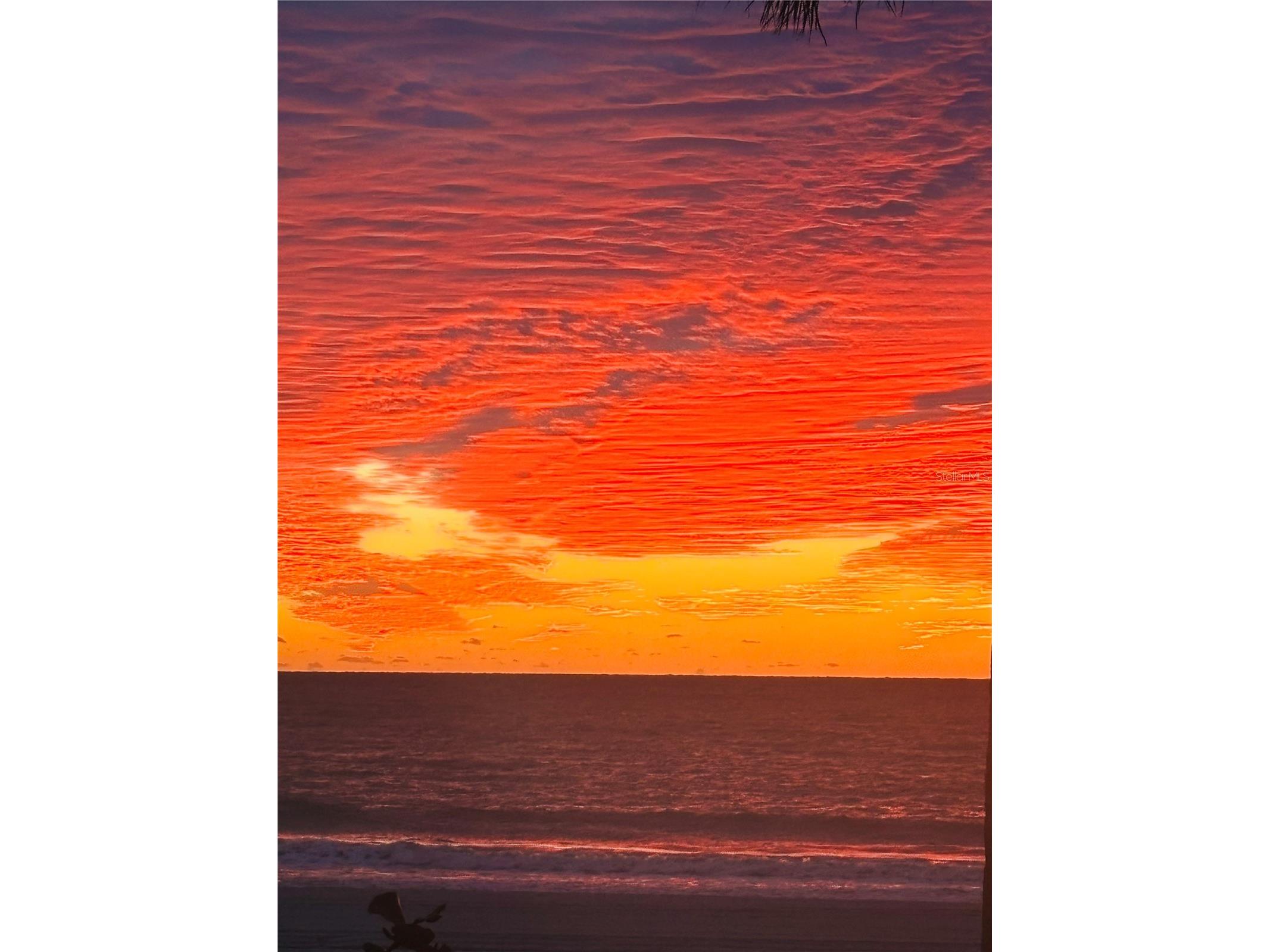 8640 W Gulf Boulevard Treasure Island FL 33706 - GULF OF MEXICO TB8469911 image47