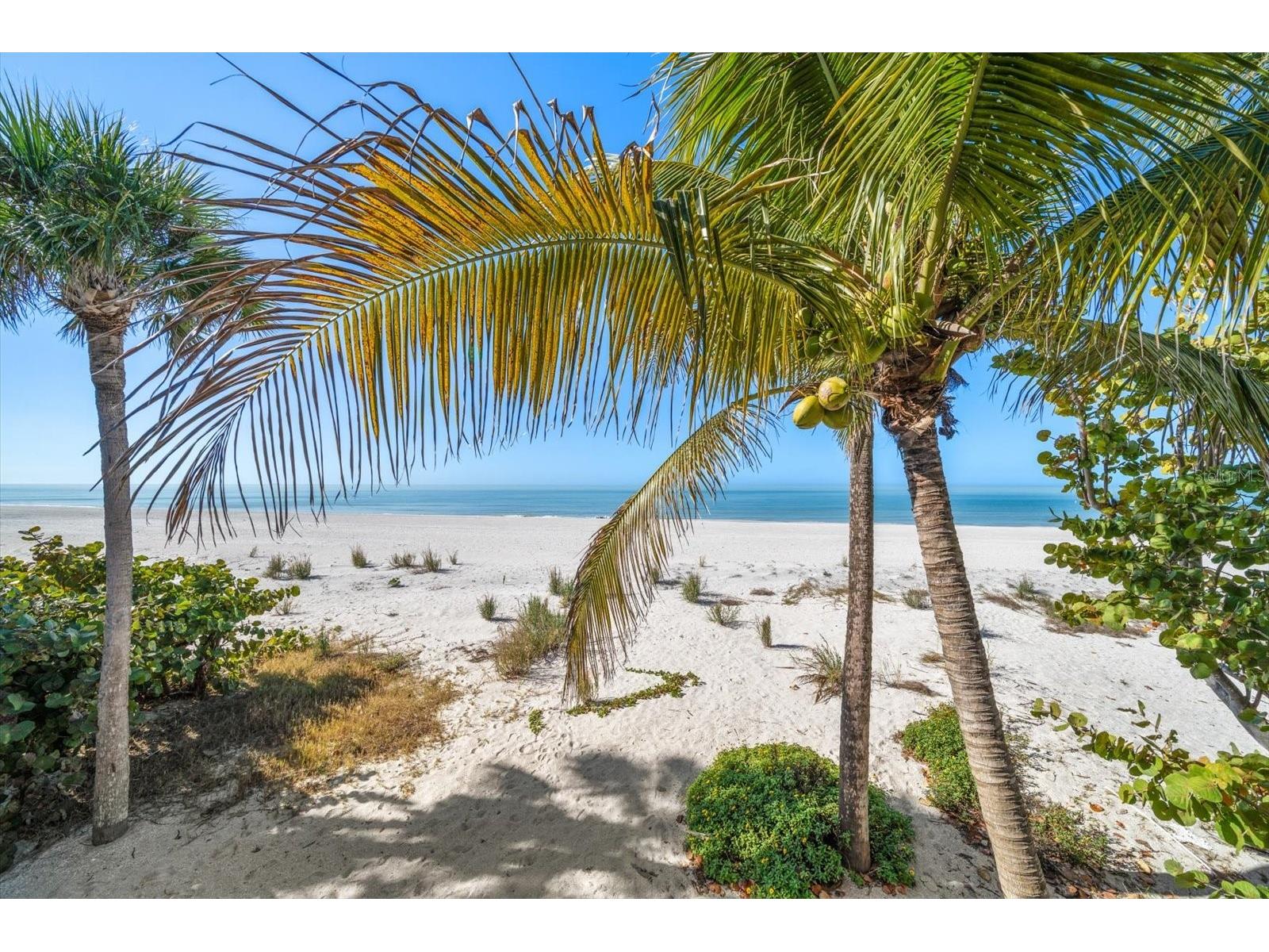 8640 W Gulf Boulevard Treasure Island FL 33706 - GULF OF MEXICO TB8469911 image5