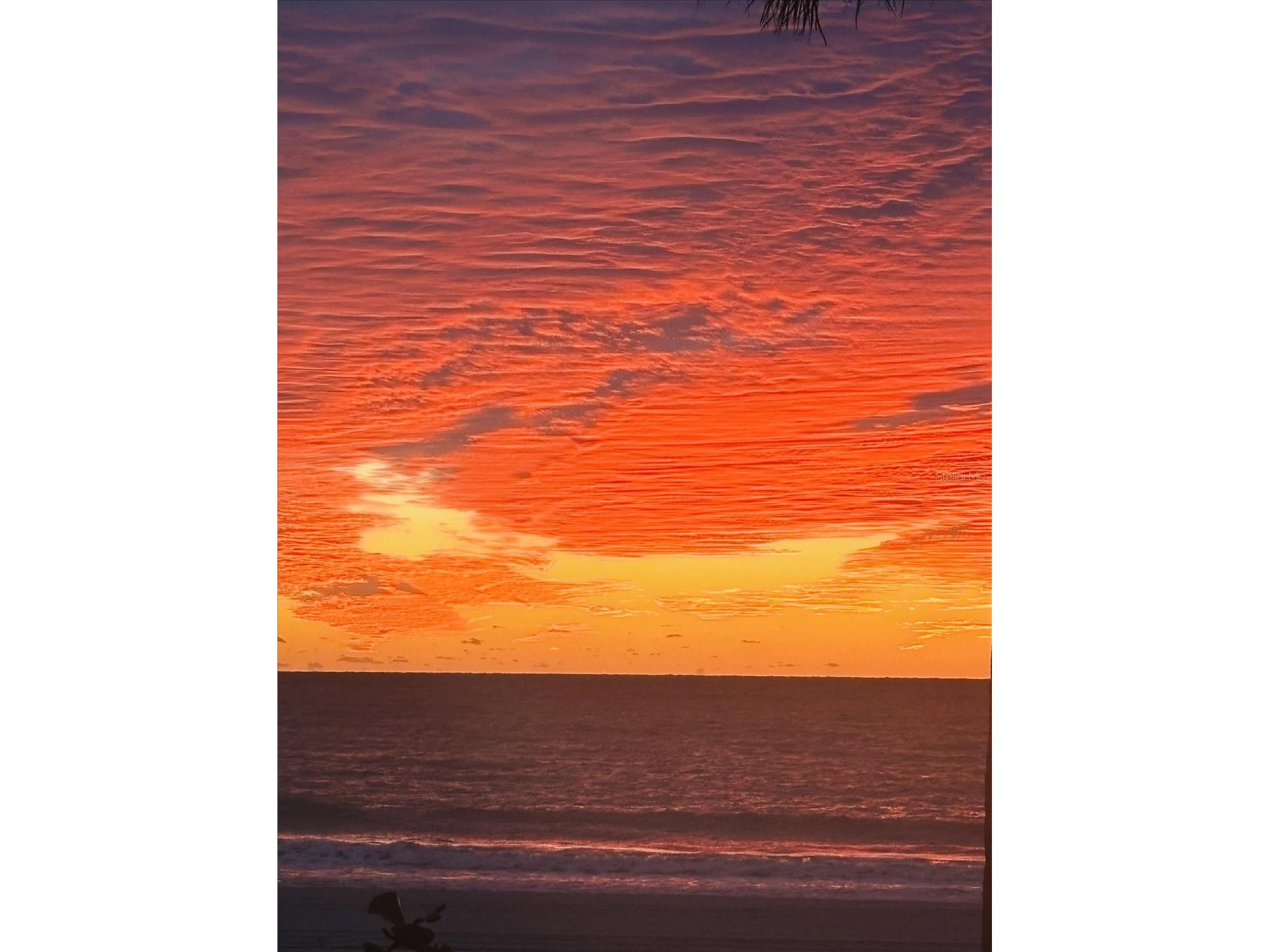 8640 W Gulf Boulevard Treasure Island FL 33706 - GULF OF MEXICO TB8505519 image14