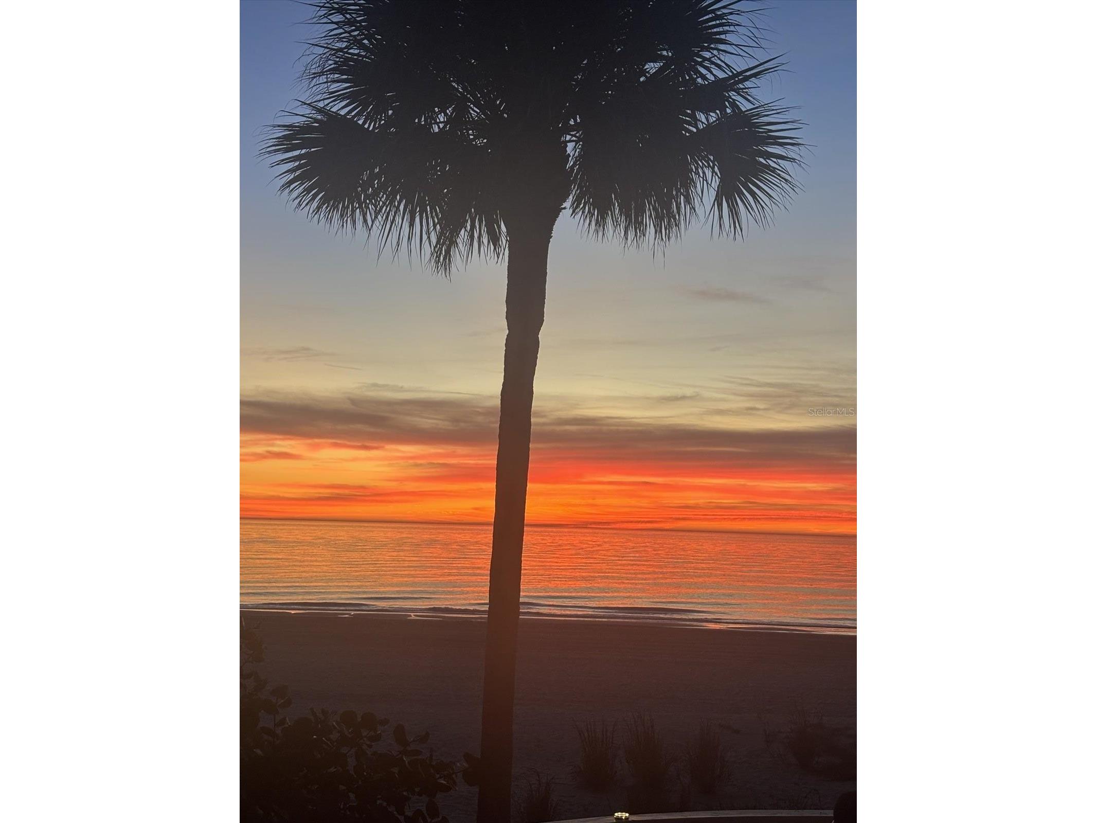 8640 W Gulf Boulevard Treasure Island FL 33706 - GULF OF MEXICO TB8505519 image15