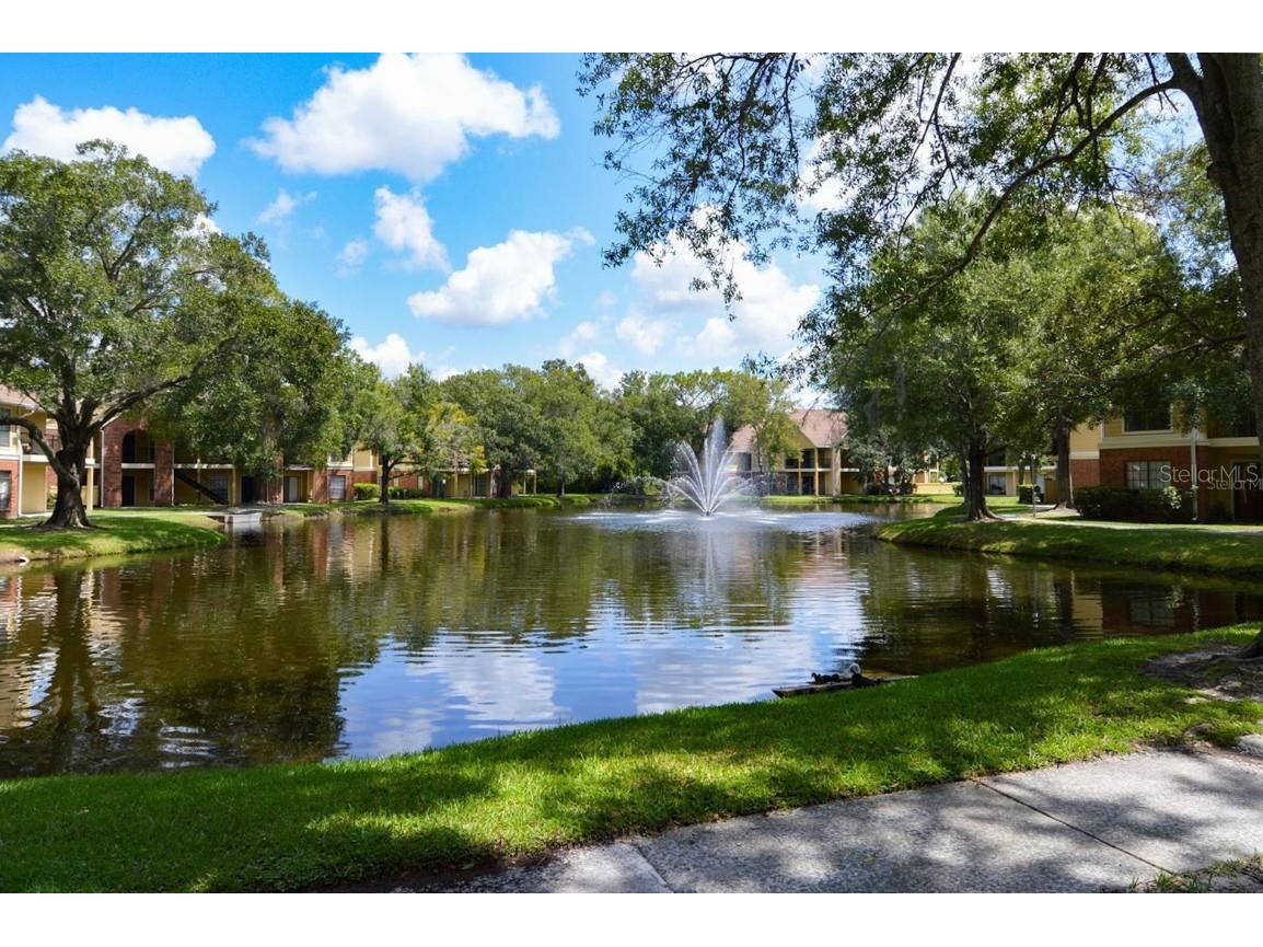 8641 Fancy Finch Drive #103 Tampa FL 33614 TB8444522 image44