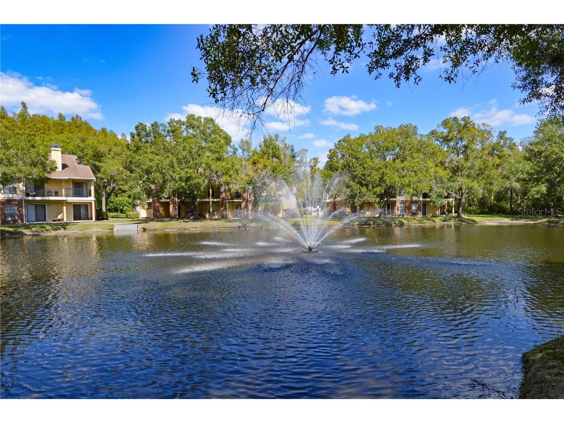 8641 Fancy Finch Drive #103 Tampa FL 33614 TB8444522 image45