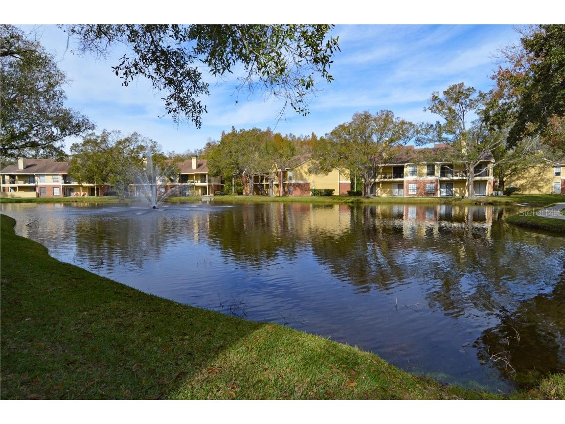 8641 Fancy Finch Drive #103 Tampa FL 33614 TB8444522 image46