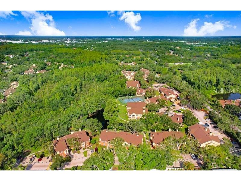 8641 Fancy Finch Drive #103 Tampa FL 33614 TB8444522 image56