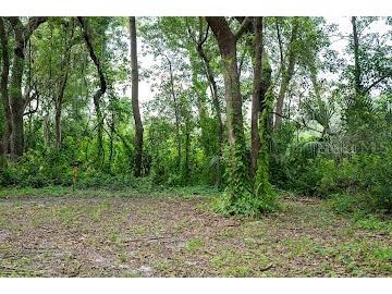 8641 High Street Yalaha FL 34797 O6328623 image1