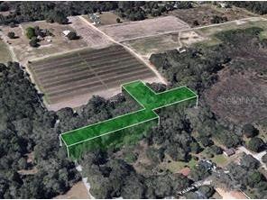 8641 High Street Yalaha FL 34797 O6328623 image3