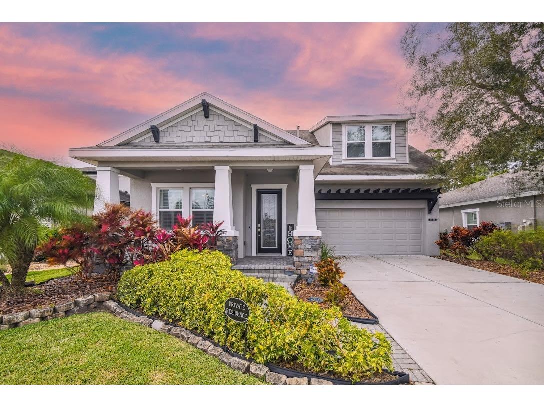 8641 Savory Walk Drive Land O Lakes FL 34637 T3424161 image1