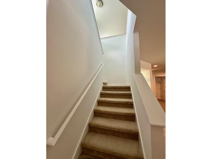 8642 Powder Ridge Trail Windermere FL 34786 O6401509 image14
