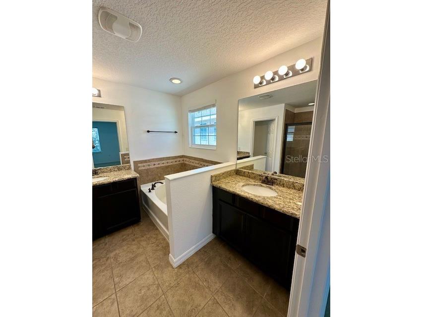8642 Powder Ridge Trail Windermere FL 34786 O6401509 image19