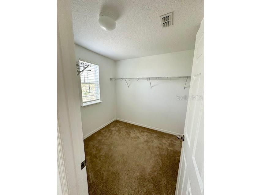 8642 Powder Ridge Trail Windermere FL 34786 O6401509 image20