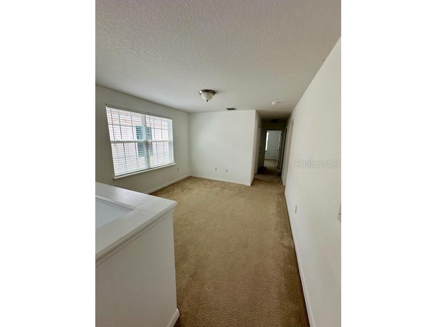 8642 Powder Ridge Trail Windermere FL 34786 O6401509 image21