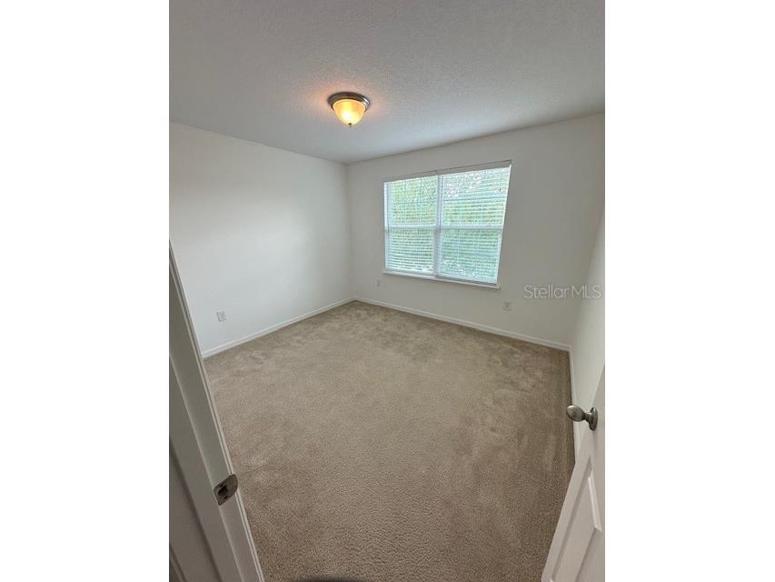 8642 Powder Ridge Trail Windermere FL 34786 O6401509 image28