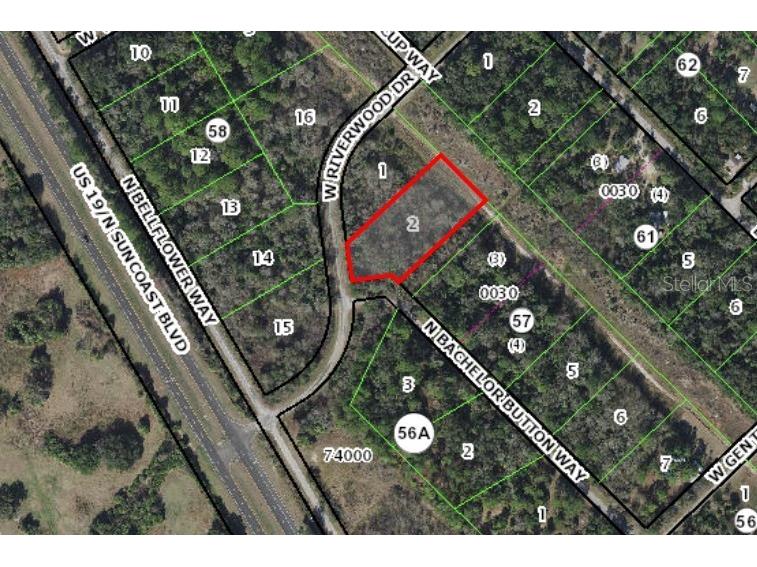 8643 N Bachelor Button Way Crystal River FL 34428 C7515615 image2