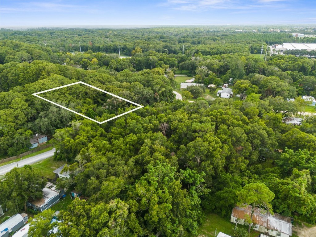 8644 Cameo Drive New Port Richey FL 34654 W7866892 image1