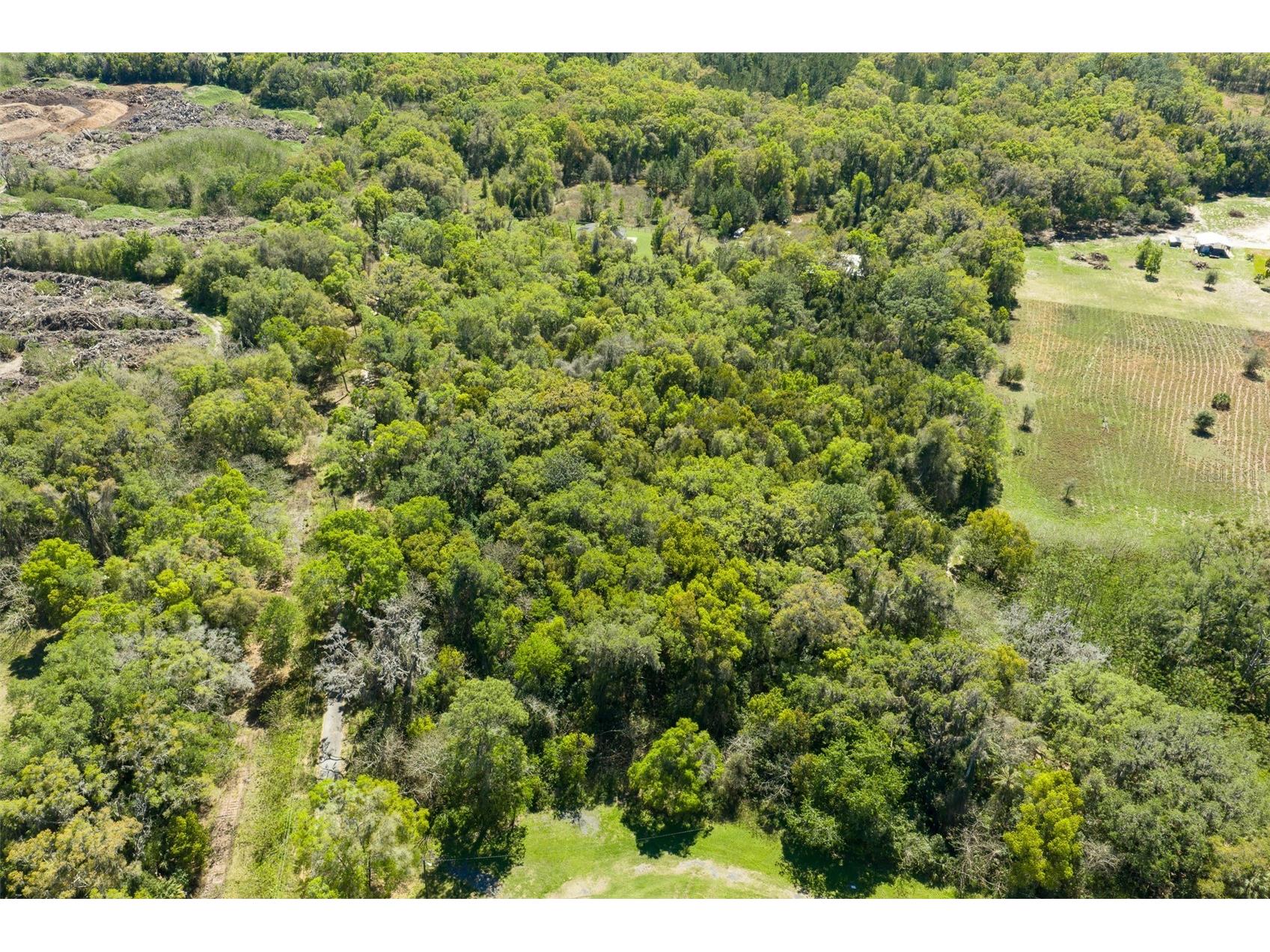 8644 NW 38th Avenue Road Ocala FL 34482 OM679288 image2