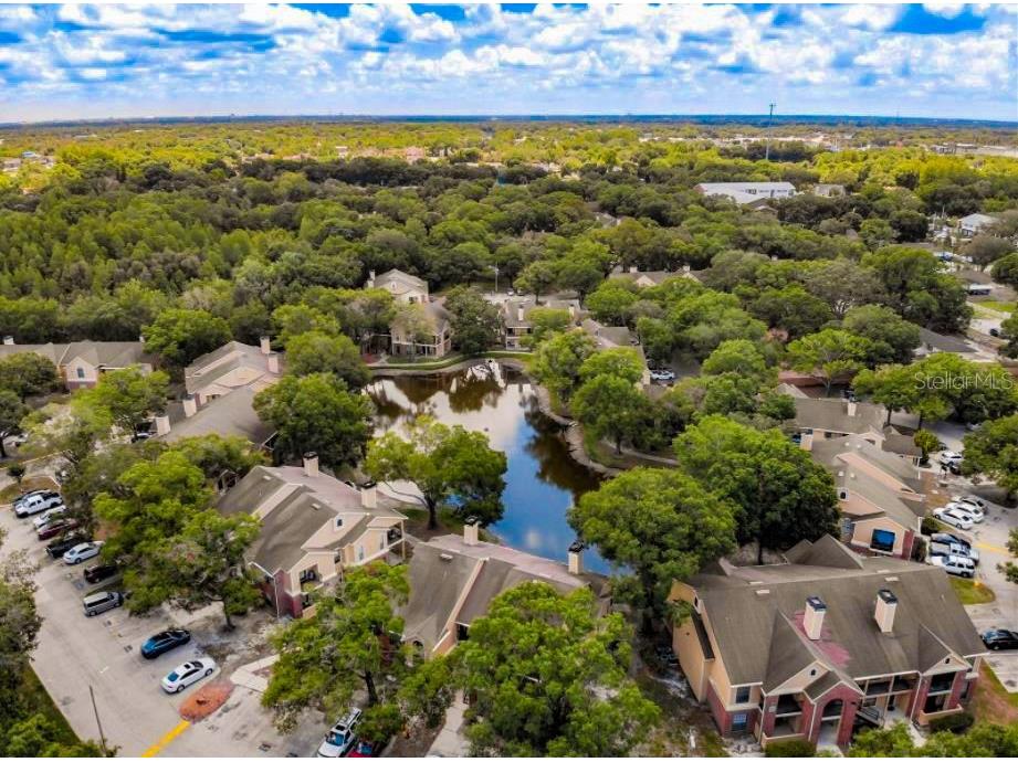 8645 Fancy Finch Drive #203 Tampa FL 33614 U8138874 image1