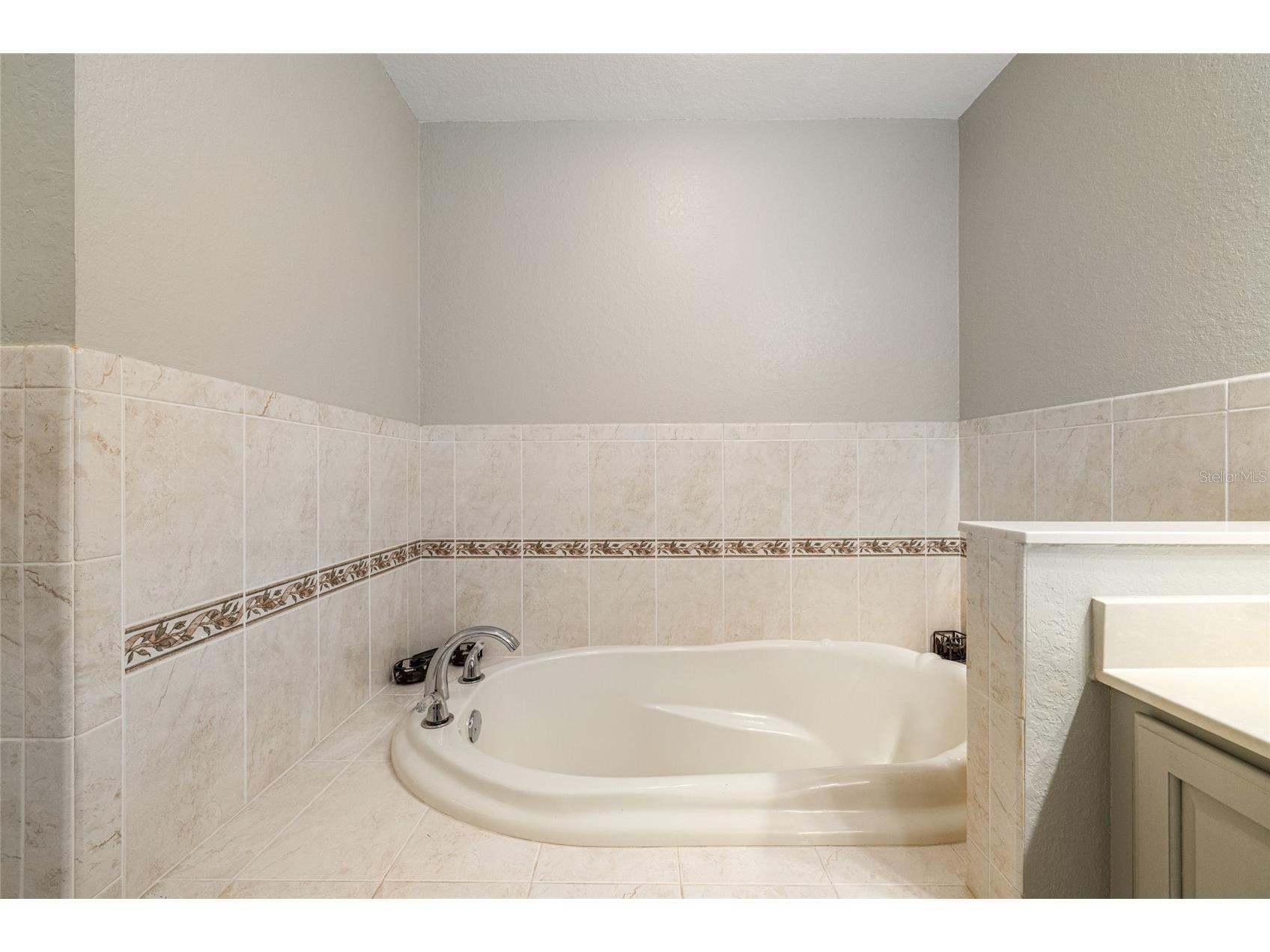 8645 SE 177th Grassmere Street The Villages FL 32162 G5108514 image35