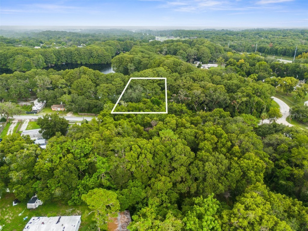8646 Cameo Drive New Port Richey FL 34654 W7866891 image1