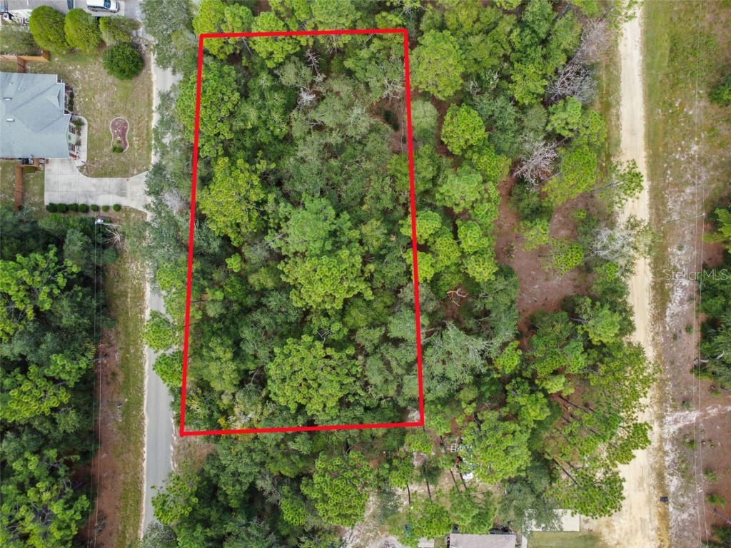 8646 N Discalfani Loop Crystal River FL 34428 W7858751 image1