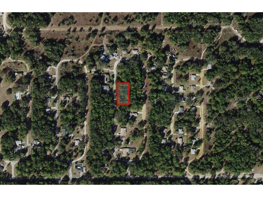 8646 N Discalfani Loop Crystal River FL 34428 OM721591 image1
