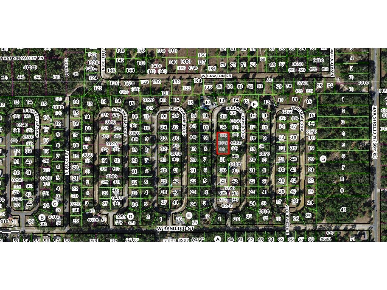8646 N Discalfani Loop Crystal River FL 34428 OM721591 image3