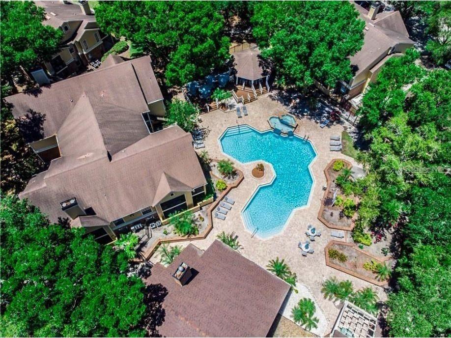 8647 Mallard Reserve Drive #203 Tampa FL 33614 U8243341 image1