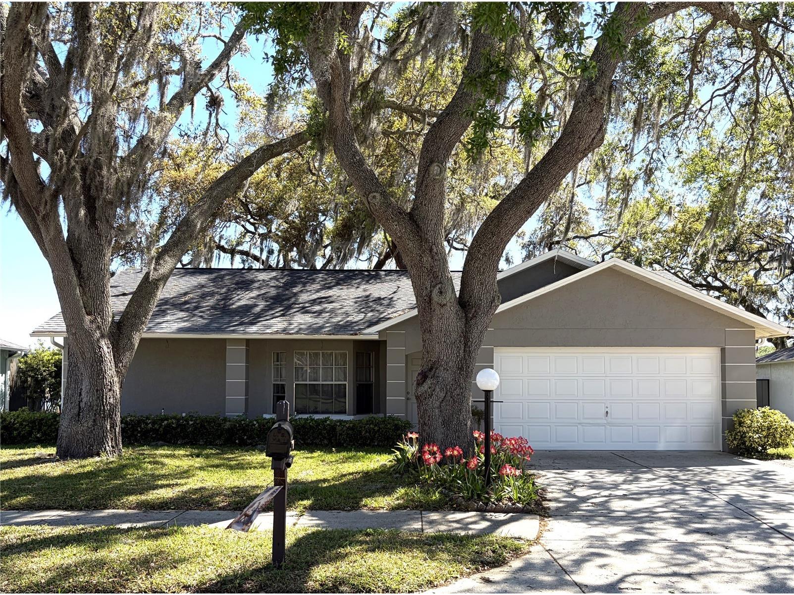 8648 Gold Pine Drive Port Richey FL 34668 W7884175 image1