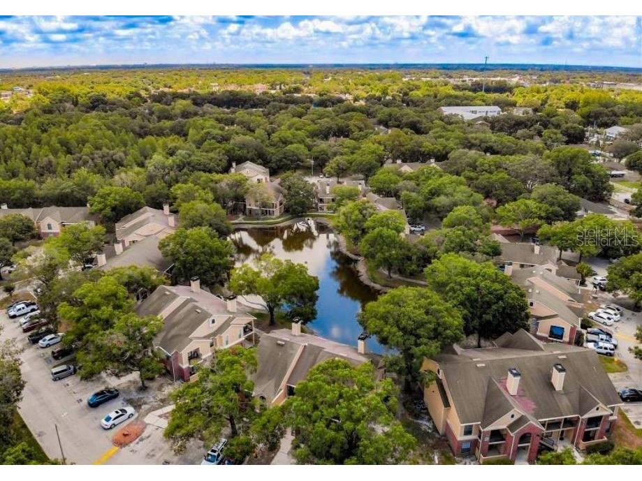 8648 Mallard Reserve Drive #203 Tampa FL 33614 U8233991 image1