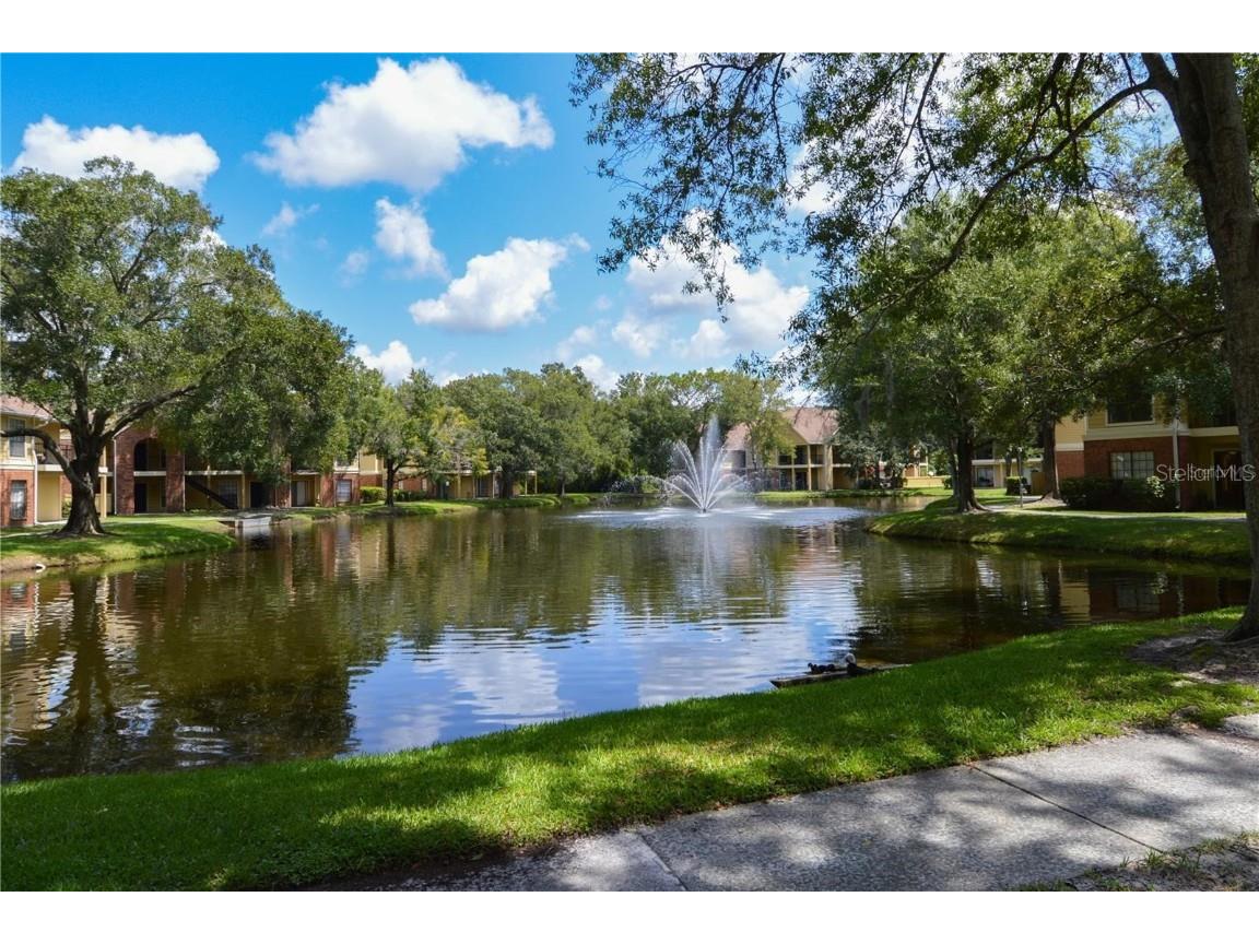 8649 Fancy Finch Drive #103 Tampa FL 33614 TB8455329 image40