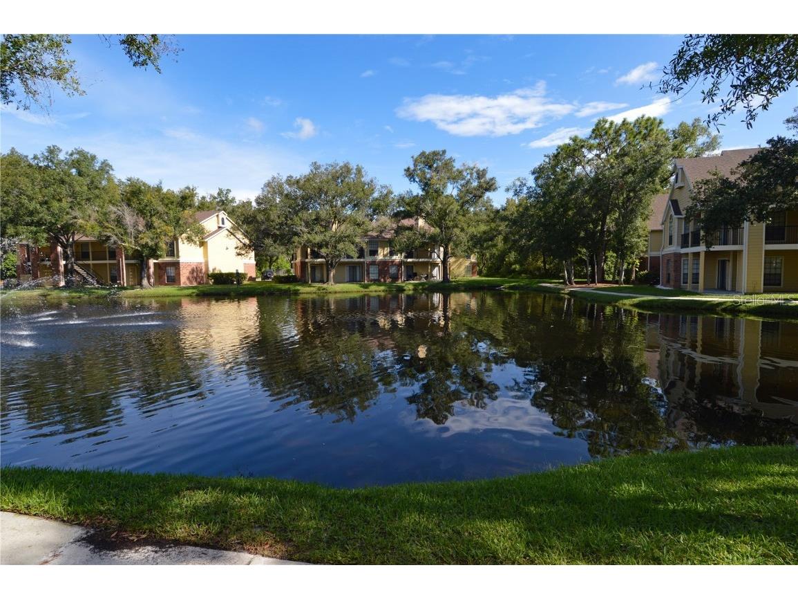 8649 Fancy Finch Drive #103 Tampa FL 33614 TB8455329 image46