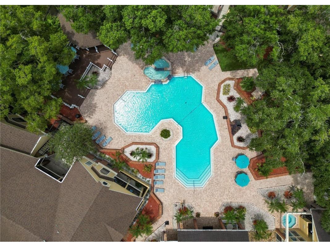 8649 Fancy Finch Drive #103 Tampa FL 33614 TB8455329 image89