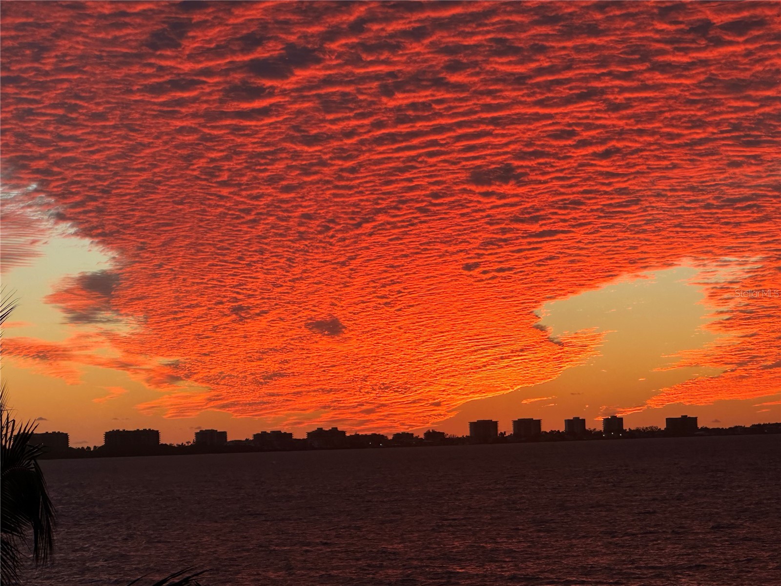 865 Longboat Club Road Longboat Key FL 34228 - GULF OF MEXICO A4665431 image86