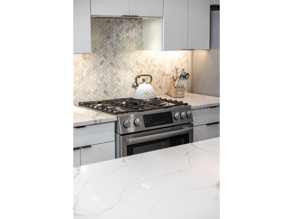 865 S 6 Avenue S #17 Saint Petersburg FL 33701 O6347517 image9