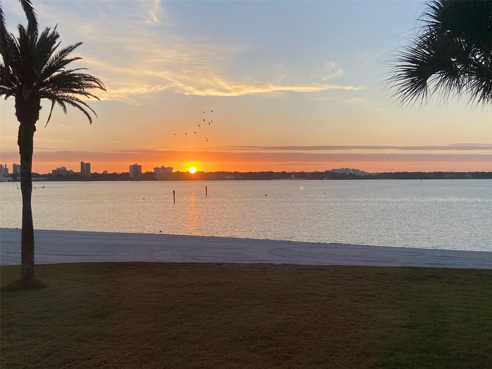 865 S Gulfview Boulevard #207 Clearwater Beach FL 33767 TB8485301 image47