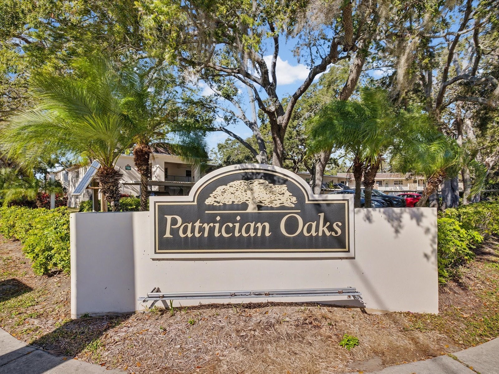 865 Virginia Court #101 Dunedin FL 34698 TB8463134 image1
