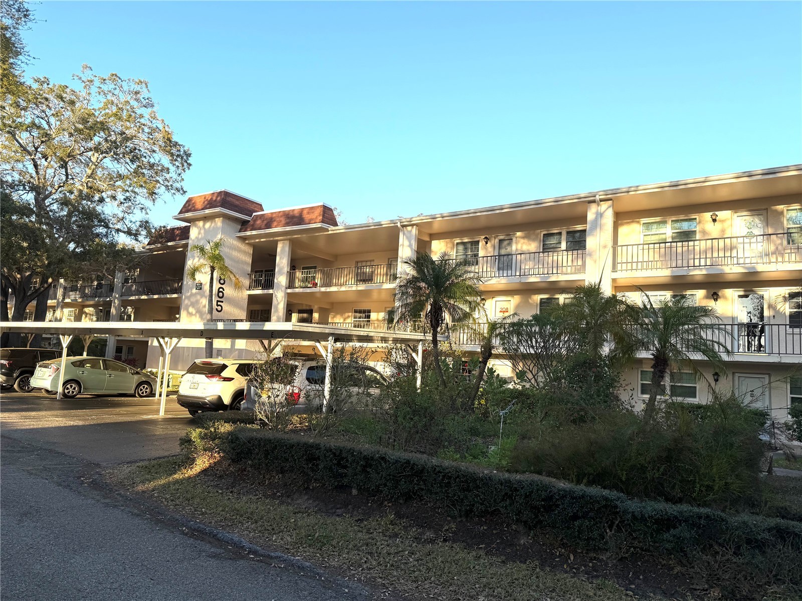865 Virginia Court #107 Dunedin FL 34698 TB8476193 image1