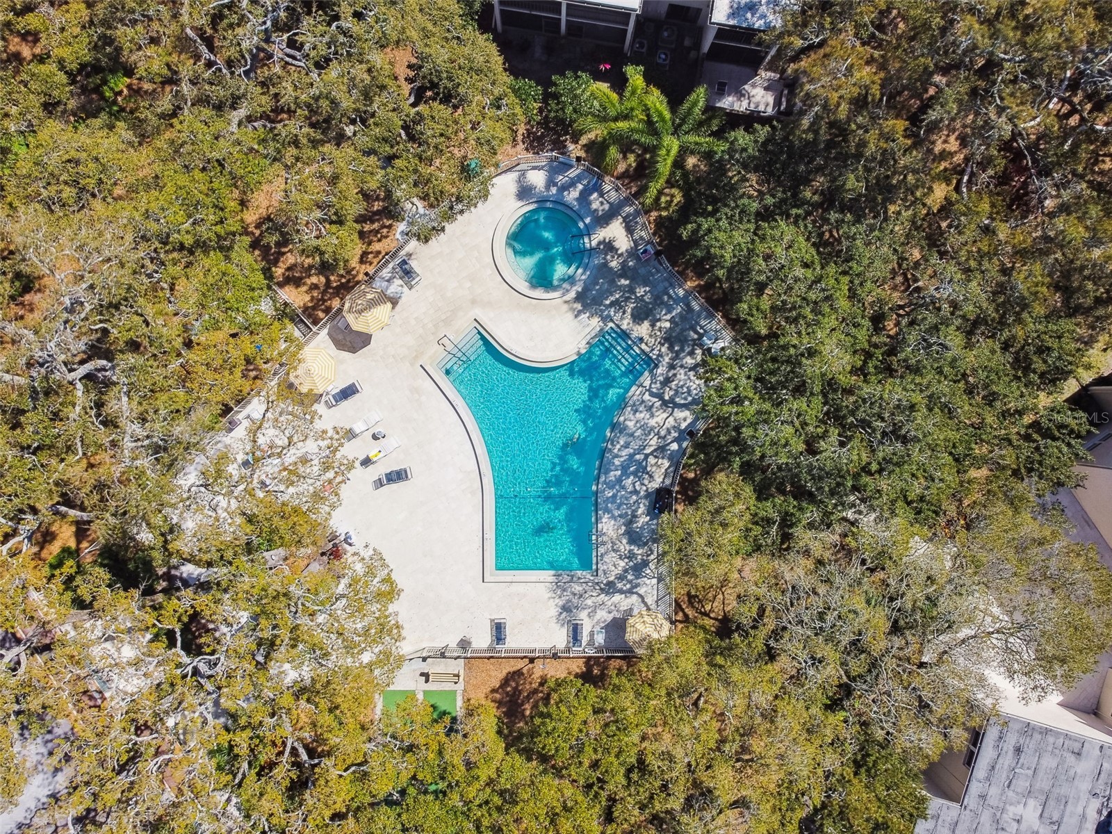 865 Virginia Court #108 Dunedin FL 34698 TB8485459 image3