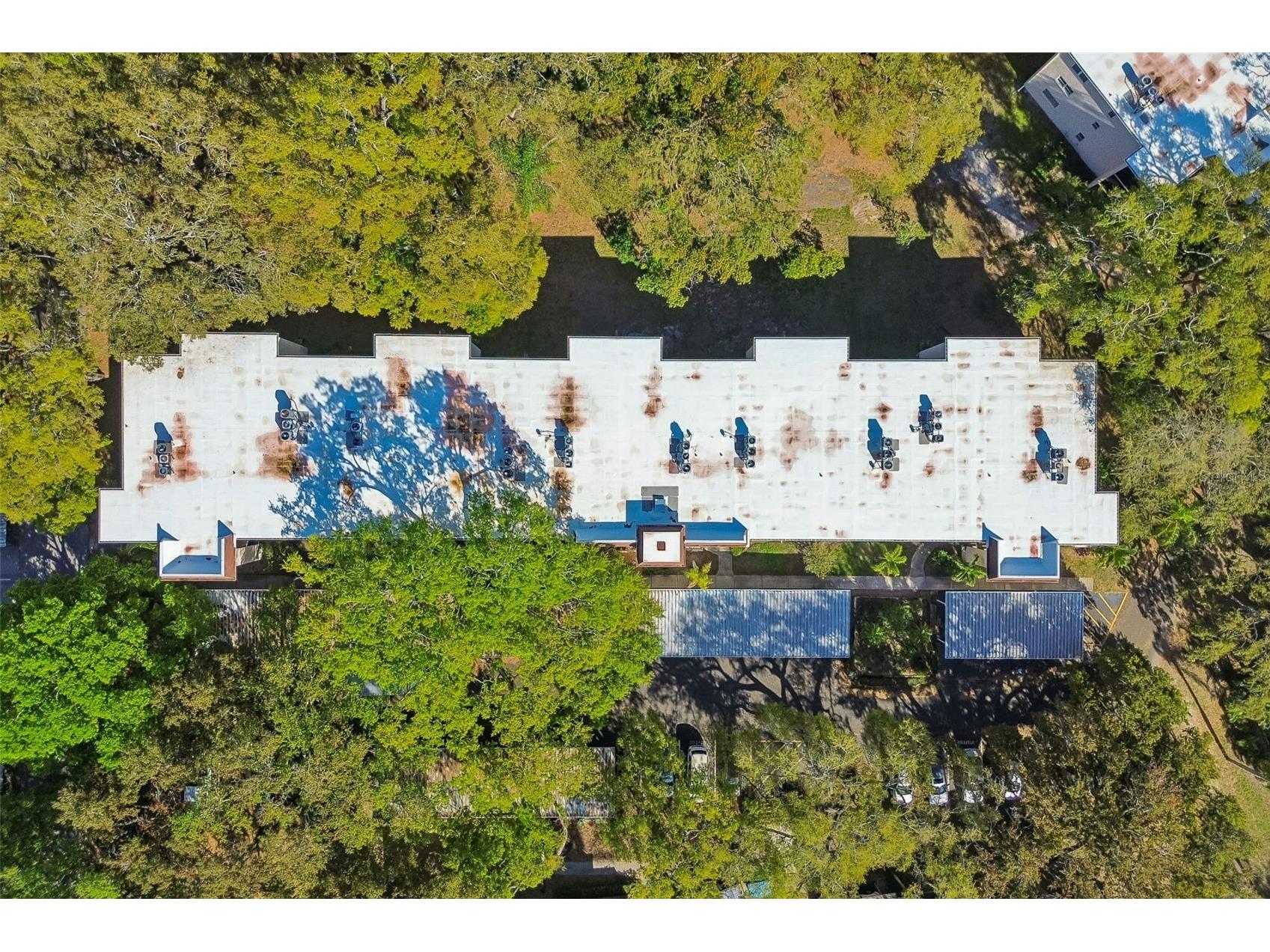 865 Virginia Court #108 Dunedin FL 34698 TB8485459 image37