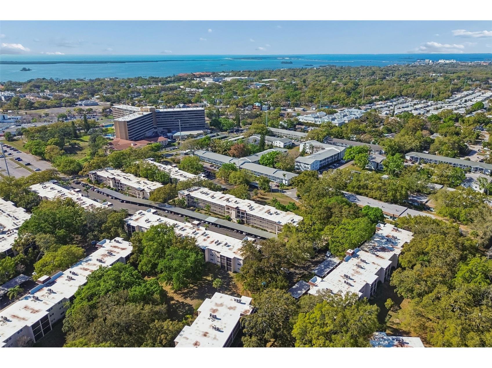865 Virginia Court #108 Dunedin FL 34698 TB8485459 image38
