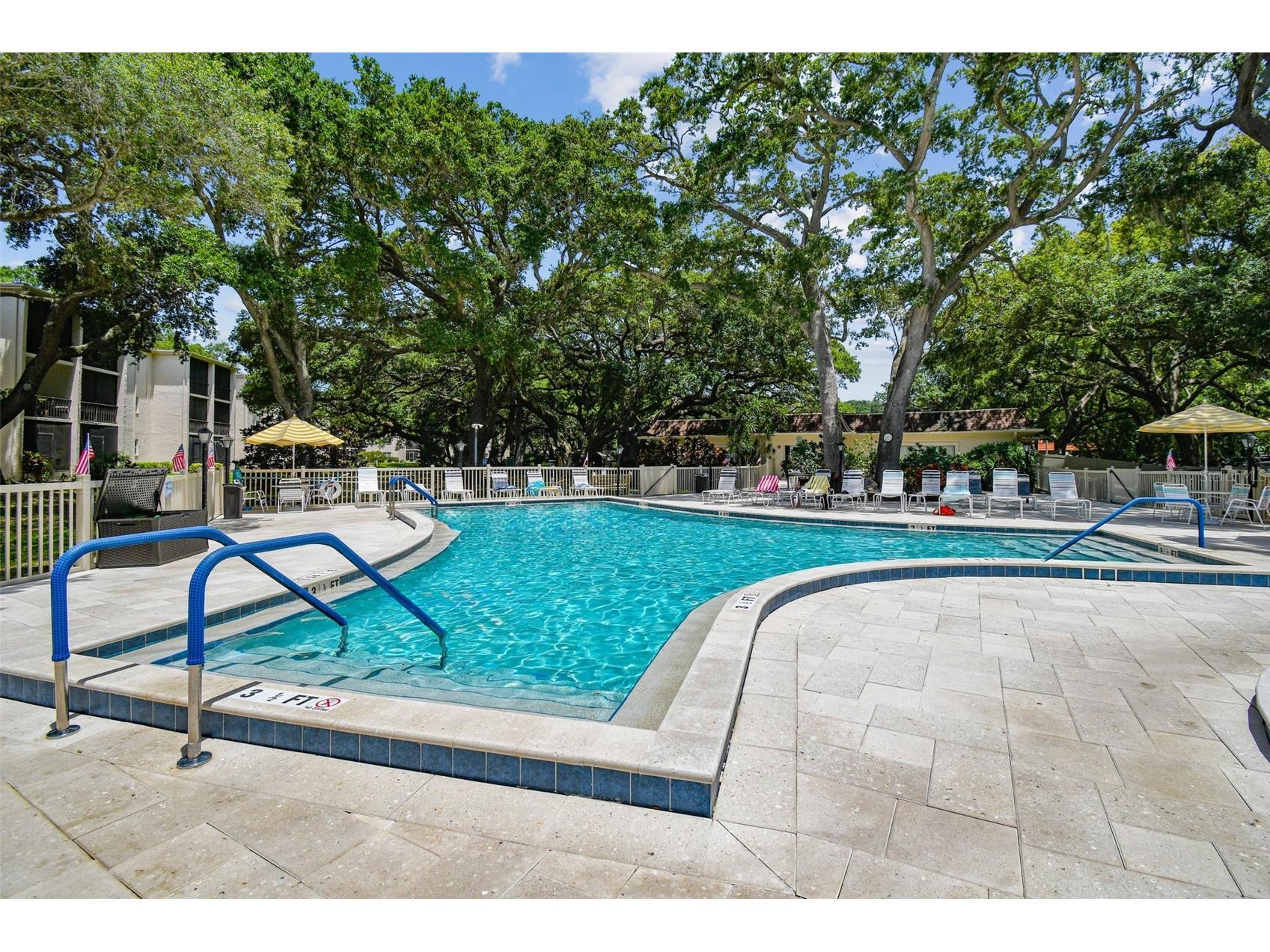 865 Virginia Court #108 Dunedin FL 34698 TB8485459 image39