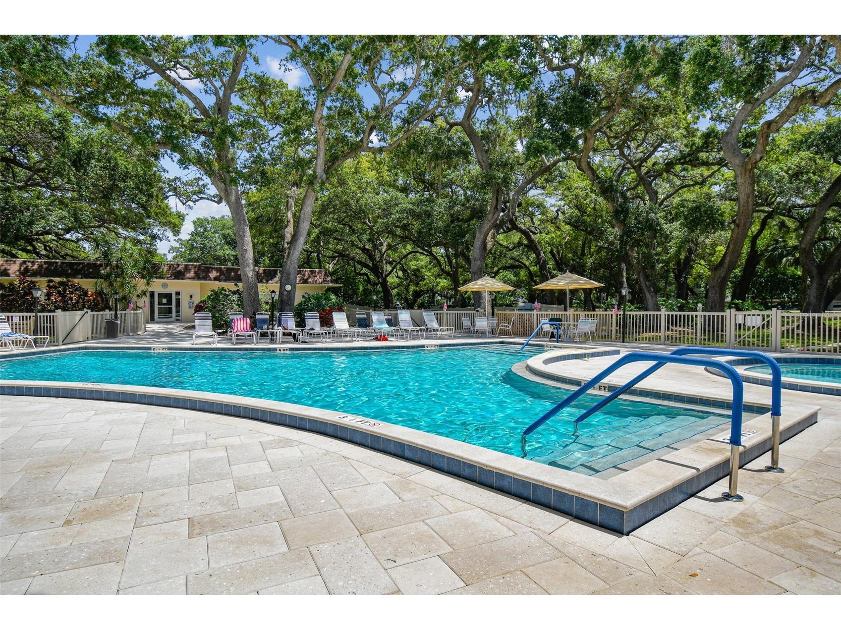865 Virginia Court #108 Dunedin FL 34698 TB8485459 image4