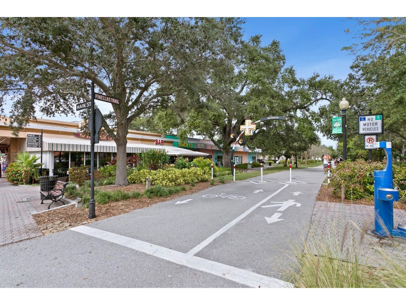 865 Virginia Court #108 Dunedin FL 34698 TB8485459 image48