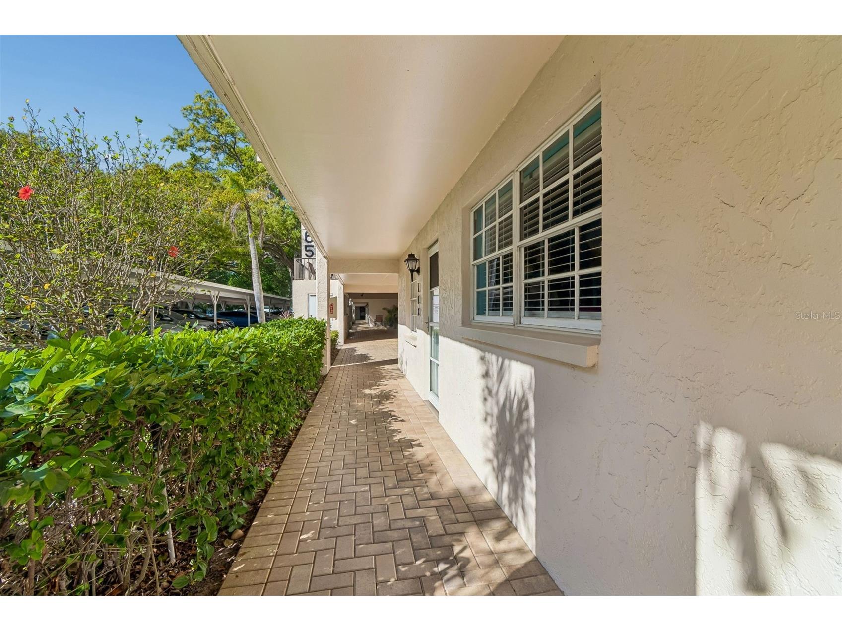 865 Virginia Court #108 Dunedin FL 34698 TB8485459 image6
