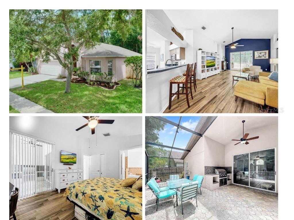 8650 Manassas Road Tampa FL 33635 T3537972 image1