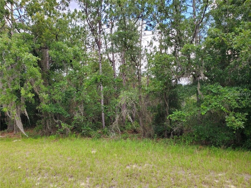 8650 SW 138 Lane Ocala FL 34473 OM710167 image1