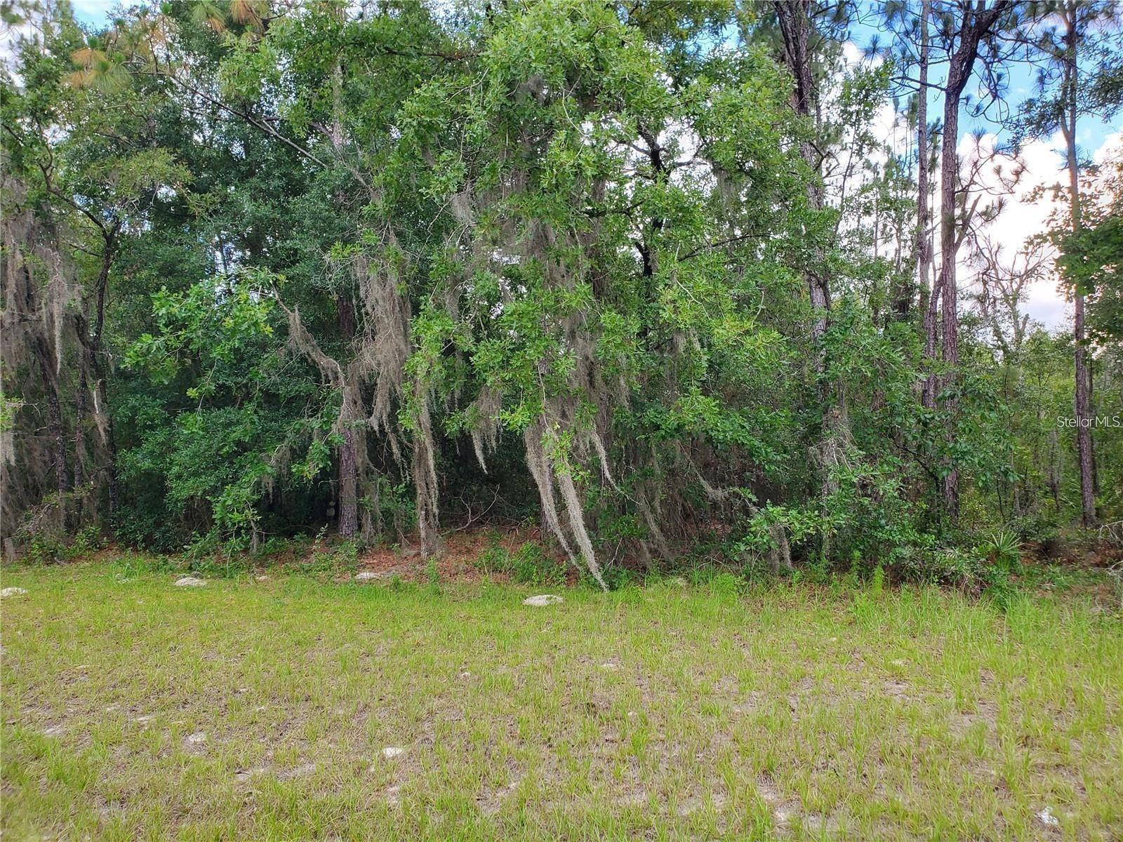 8650 SW 138 Lane Ocala FL 34473 OM718472 image1
