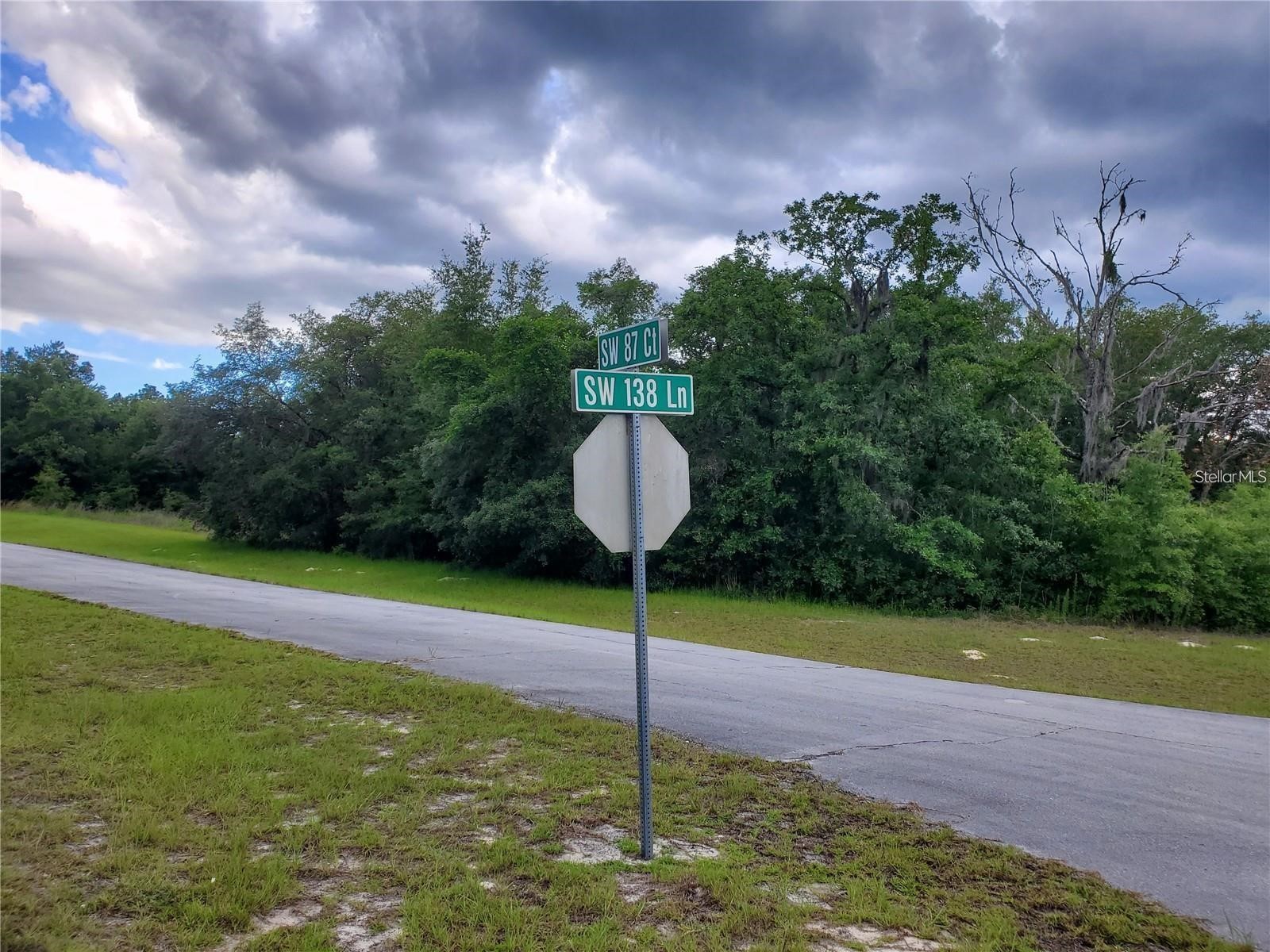 8650 SW 138 Lane Ocala FL 34473 OM718472 image2